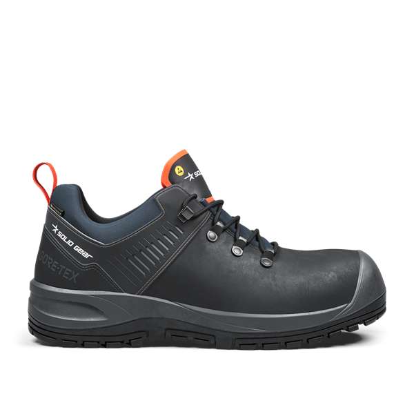 Ion GTX Laag