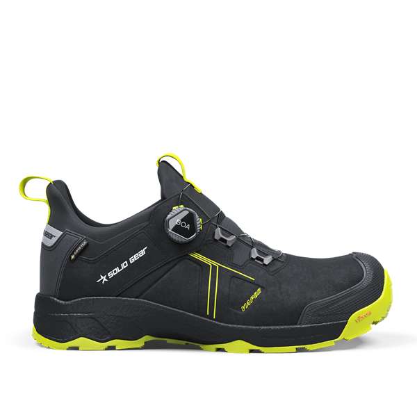 Vapor 3 GTX Laag