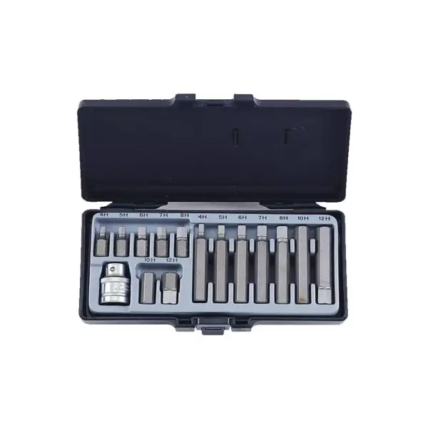 15-delig 10mm Inbus bit set