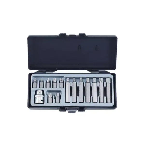 15-delig 10mm Torx bit set