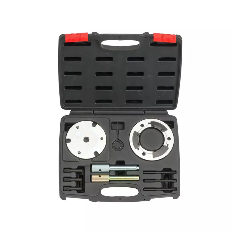 Tijdafstel set Ford 2.0, 2.2 & 2.4 Diesel (WT-2018)