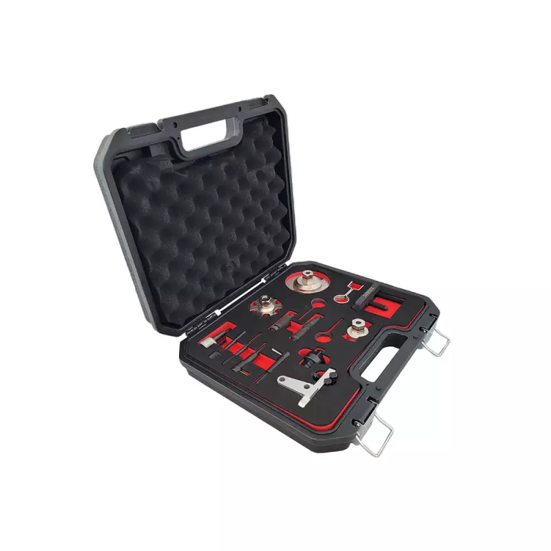 Tijdafstel set VAG 2,7 & 3,0 TDI