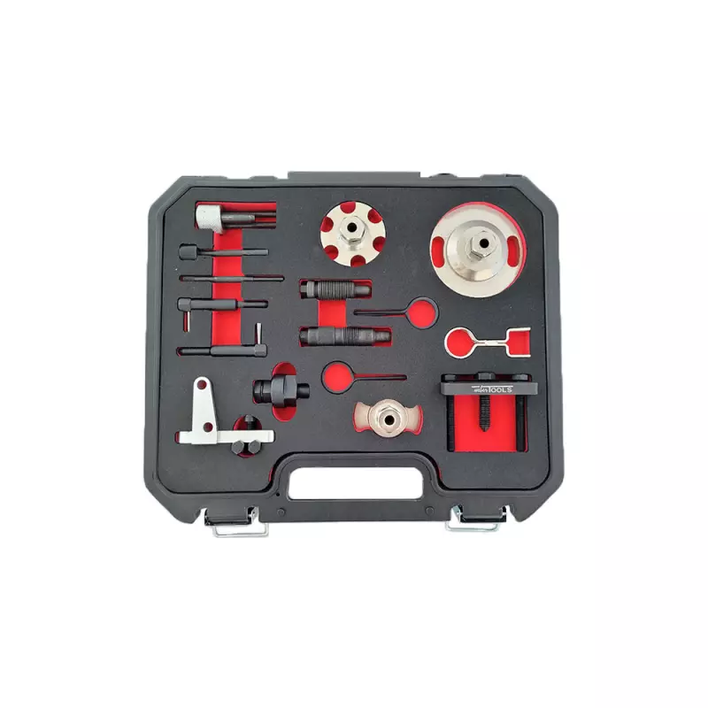 Tijdafstel set VAG 2,7 & 3,0 TDI