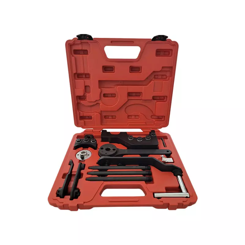 Tijdafstel set VAG 2.5, 4.9D/TDI PD