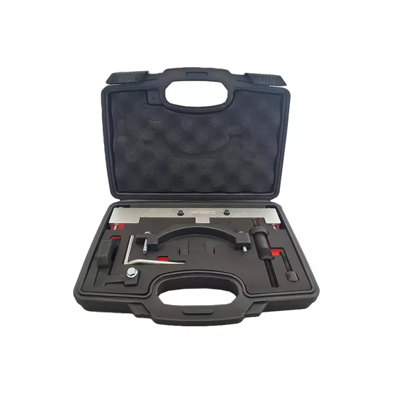 Tijdafstel set BMW N40, N45